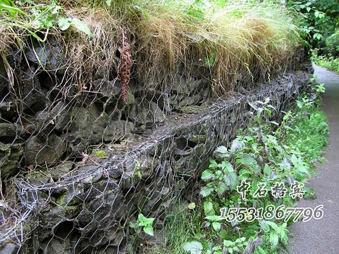 生態格網 生態格網