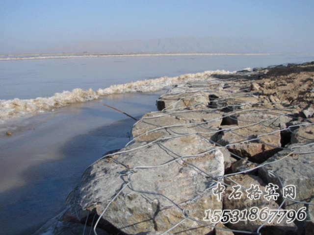 雷諾護墊 雷諾護墊