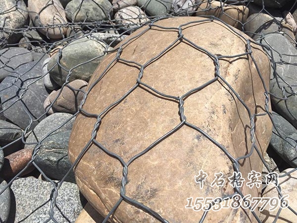 鍍高爾凡格賓網(wǎng).jpg 鍍高爾凡格賓網(wǎng).jpg