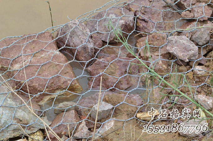 固濱籠護(hù)坡 固濱籠護(hù)坡